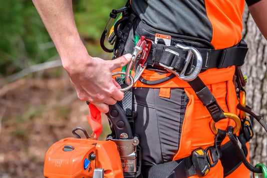 Tronçonneuse d’élagage T525