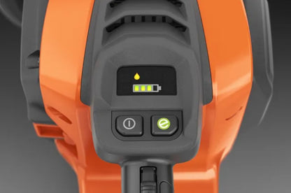 Tronçonneuse à batterie 540 iXP